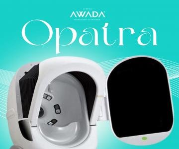 Opatra