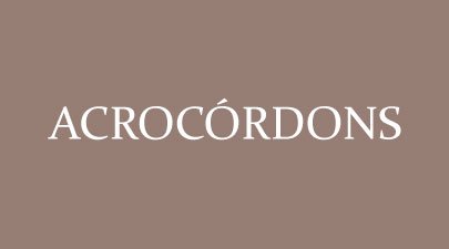 Acrocórdons